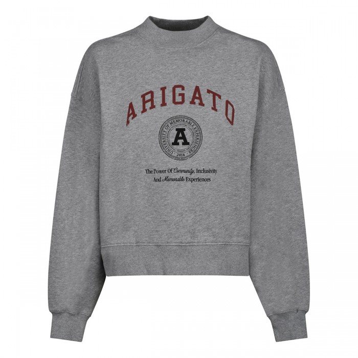 University gray sweatshirt