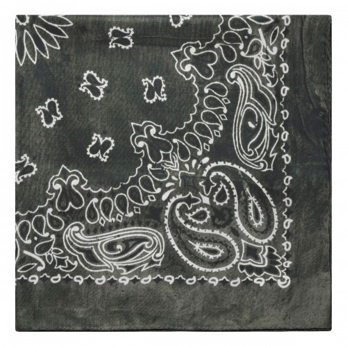 Paisley print scarf