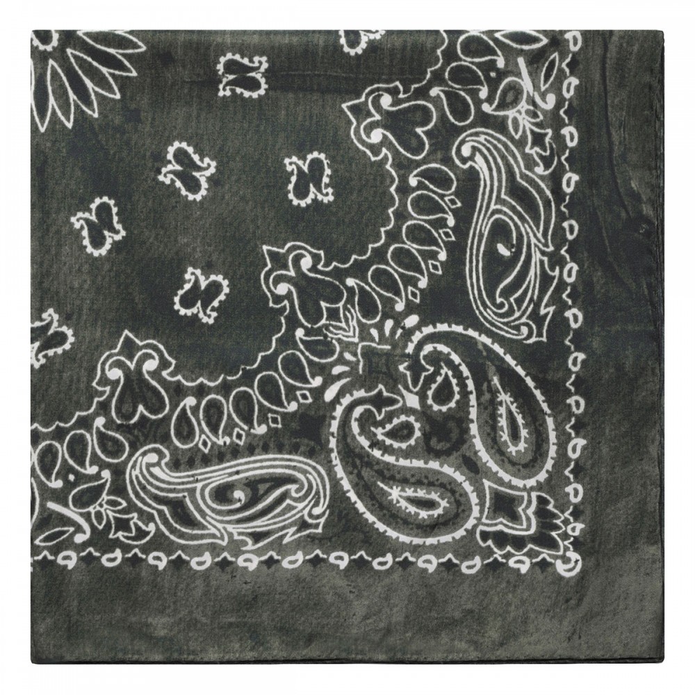 Paisley print scarf