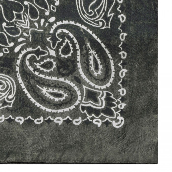 Paisley print scarf