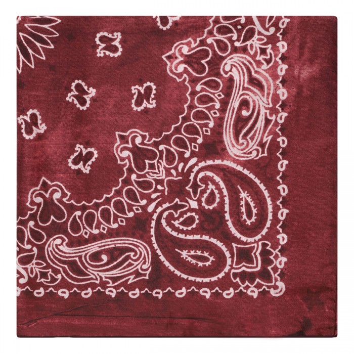 Paisley print scarf