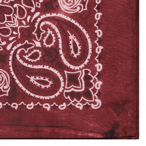 Paisley print scarf 2