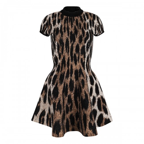 Leopard print jacquard dress