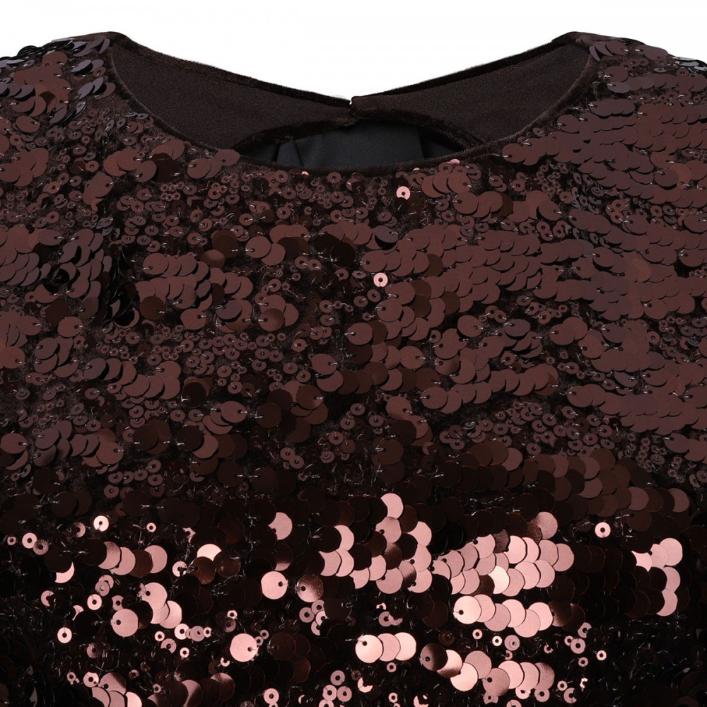 Velvet sequins top