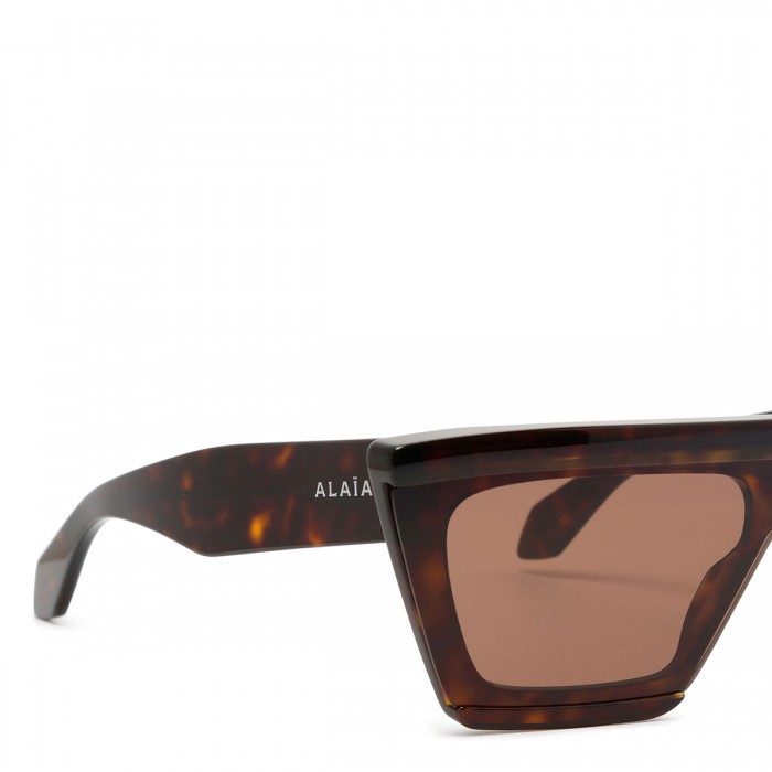 Tortoiseshell mask sunglasses