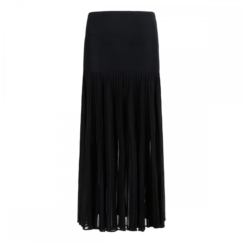 Pleated sheer skirt