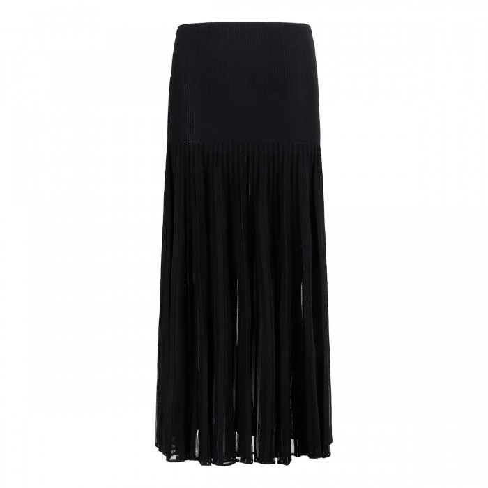 Pleated sheer skirt