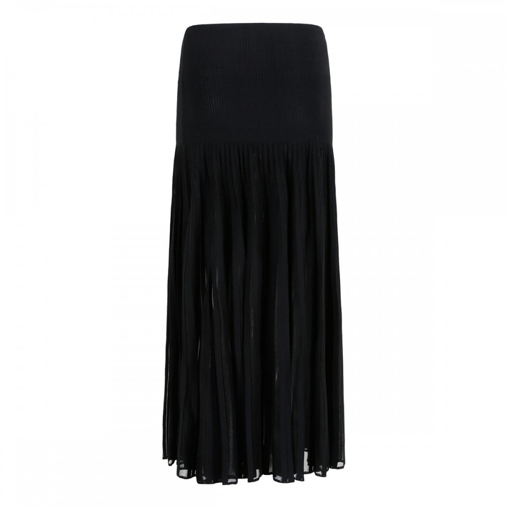 Pleated sheer skirt
