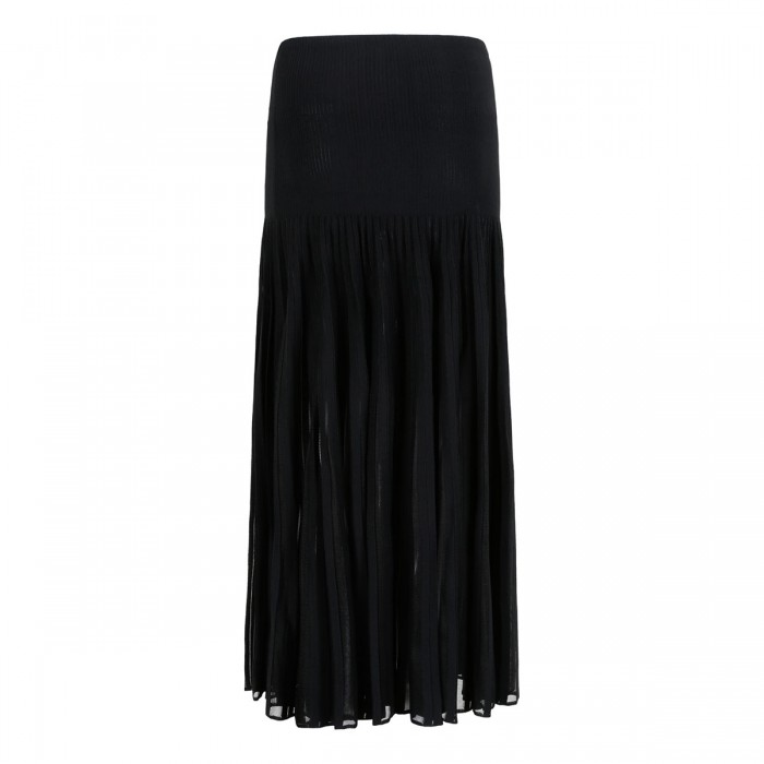 Pleated sheer skirt