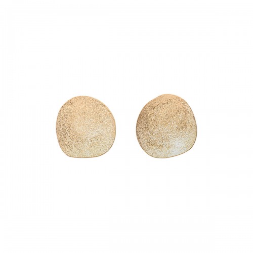 Gold hue silver disc earrings