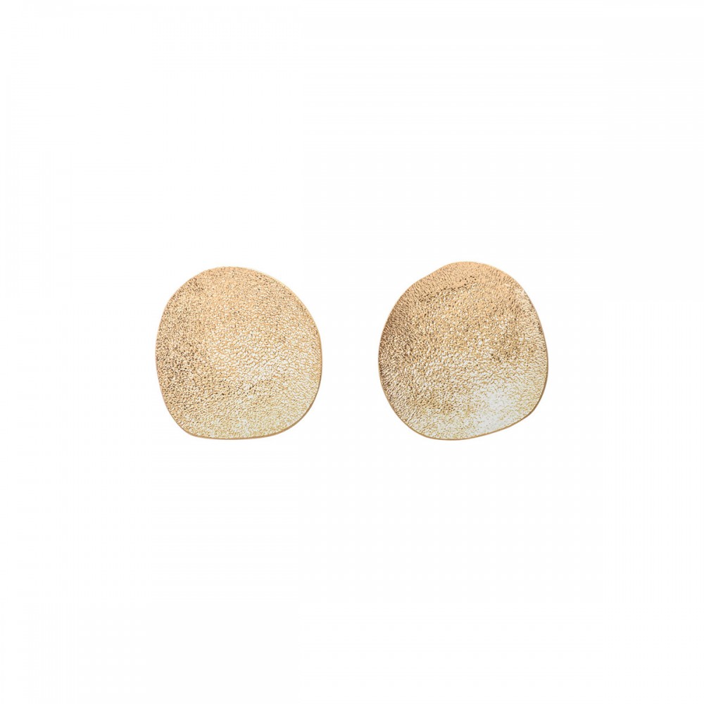 Gold hue silver disc earrings