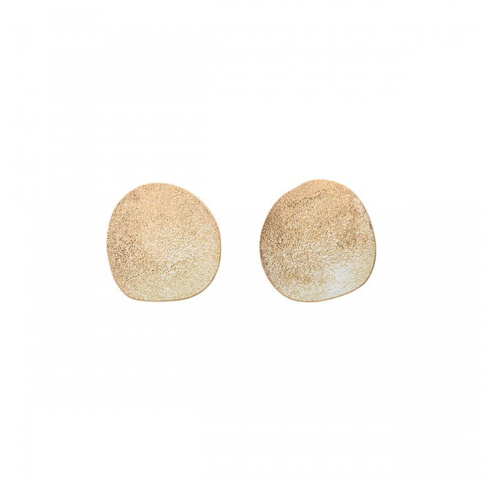 Gold hue silver disc earrings