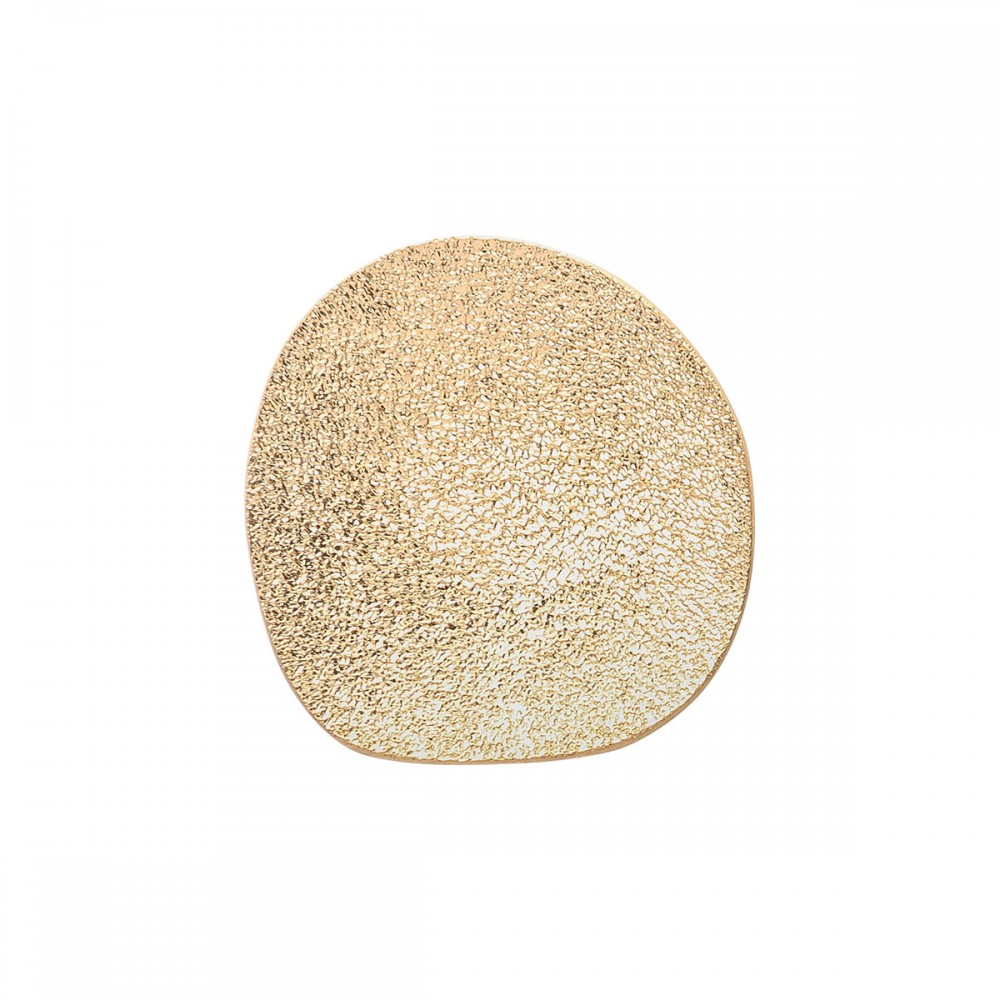 Gold hue silver disc earrings