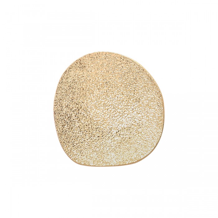 Gold hue silver disc earrings