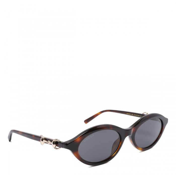Oval frame sunglasses