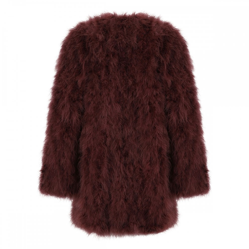 Warm brown feathers coat