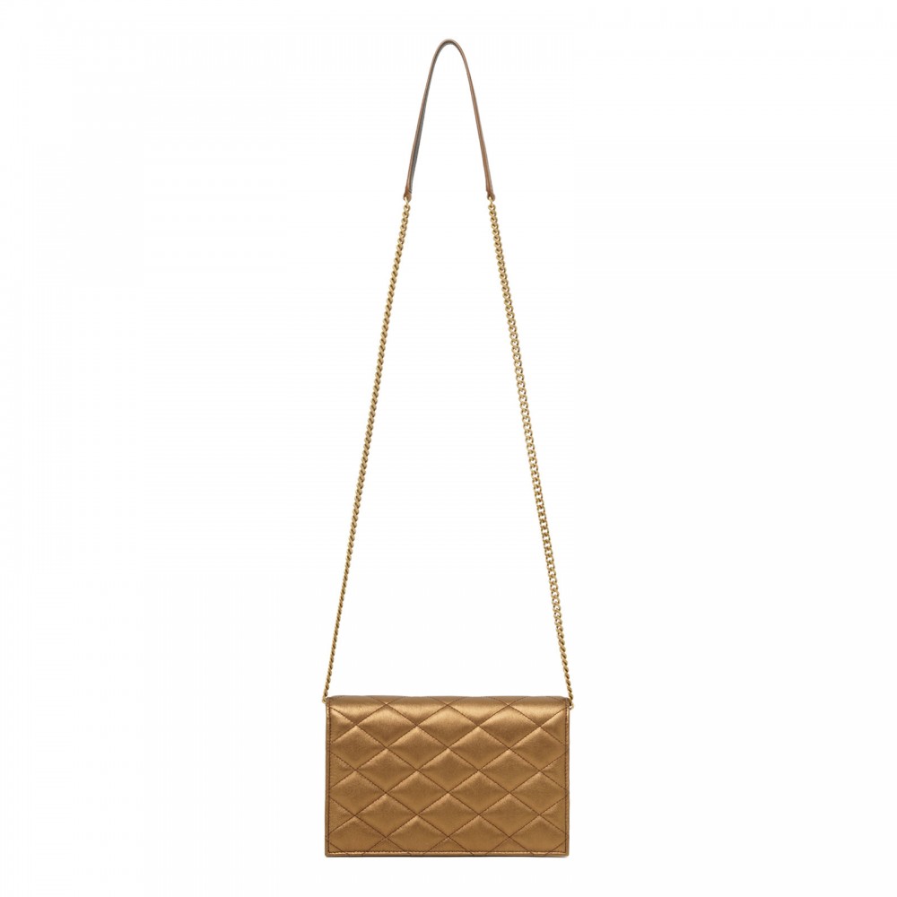 Paris chain pouch